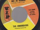 The Underdogs Love's Gone Bad Garage Psych 45 VIP HEAR