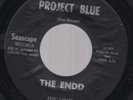 The Endd Project Blue RARE Garage Fuzz 45 Seascape HEAR