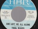 Tidal Waves Farmer John Garage Psych 45 HBR HEAR