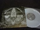 Drowning the Light - 3way Split 10