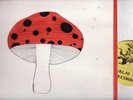POKORA--MUSHROOM--EARLY ONE MORNING--PSYCH PROG EARLYRE
