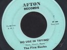 The Five Bucks No Use In Trying Garage 45 Afton HEAR