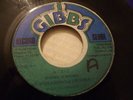 DENNIS BROWN &DHAIMA /A TRUE ROOTS STEPPER JOE GIBBS 7