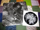 GROUPER Dragging A Dead Dear LP & Hold/Sick 7