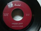 BLACK GOSPEL 45 VOICES OF CLOUDS     CLICK TO HEAR
