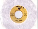 soul funk 45 LEE FIELDS - Funky screw / Bull is *HEAR*