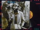 DESI ROOTS Doing it right OG UK LP HAWKEYE SHAKA 1980