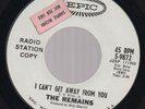 The Remains Can't Get Away Garage Psych 45 Epic WL HEAR