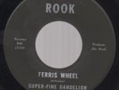 Super-Fine Dandelion Private Sitar Psych 45 Rook HEAR