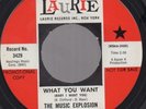 The Music Explosion Road Runner Sitar Psych 45 Laurie