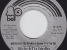 70s Northern Soul 45 - Shirley & the Shirelles - mp3