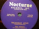 THE SONICS 