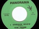 Garage 45 TOM THUMB & THE CASUALS on Panorama HEAR M-