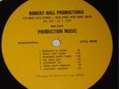 ROBERT HALL PROD   Moog Synth Psych Vibes   LIBRARY NM-