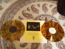 E.L.P CELESTIAL DOGGIE 150 MCV K&S  NOTTMOQ