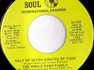rare Soul Funk 45 WHOLE DARN FAMILY seven minutes