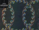 TOOL - Lateralus PIC DISK 2x LP - New/Sealed..