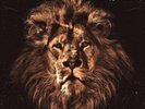 John Butler Trio April Uprising Vinyl  2x lp