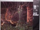 GRAVE -Into the grave LP 1991 RARE dismember carnage