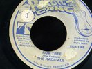 Radicals - Rum Tree JA orig Roots Radics Gang 45 ??