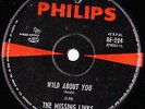 WILD ABOUT YOU = MISSING LINKS 1966 OZ GARAGE FREAKBEAT