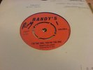1970 UK TROJAN BOSS SKIN - RANDY'S ALL STARS