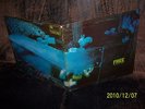 Free LP Tons Of Sobs  ORIGINAL PINK ISLAND