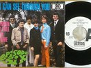EPISODE SIX I Can See Through You PYE German 45 PS WLP