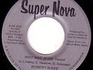ROBERT WARE Why Not UNKNOWN GOOD MODERN SOUL 45 *Hear