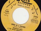 CROSSOVER 45 RPM- BACHELOR BRAD & BLACK EXPERIENCE-KRIS