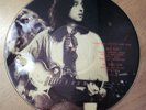 TWO LED ZEPPELIN DESTROYER 4/27/77 PICTURE RECORDS
