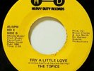Group Soul Sweet 45 TOPICS try a little love HEAVY DUTY