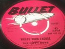 WHAT'S YOUR EXCUSE; THE HIPPY BOYS; BULLET BU 413; EX