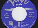 MYSTERY TREND Johnny Was A Good Boy GARAGE ROCK psych