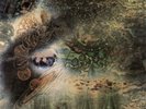 PINK FLOYD - A SAUCERFUL OF SECRETS - SEALED - IMPORT