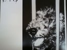 SAVAGE Live Aardshock 1984 RARE nwobhm uk metal lp LOOK