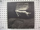 BILL EVANS & JIM HALL UNDERCURRENT UAJ14003(M)