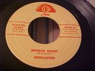 Moonlighters - RARE ROCKABILLY- Broken Heart-Josie 843
