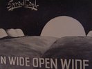 SPREAD EAGLE uber rare obscure CT private Metal LP 1985