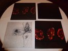 DEATHSPELL OMEGA LP Burzum Mutiilation Moonblood Mayhem