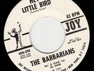 the barbarians hey little bird garage 7