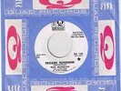 RICK McCLELLAN Frozen Sunshine DJ pro on Quad PSYCH NM-