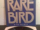 RARE BIRD AS YOUR MIND FLIES BY CHARISMA PINK