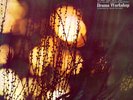 The Seasons: Radiophonic Music & Poetry LP (Plus CDR)