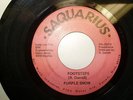 PURPLE SNOW - FOOTSTEPS 45 RARE DETROIT FUNK