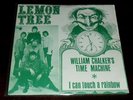 Lemon Tree MINT UK 67 Freakbeat psych 45 DUTCH PS RARE