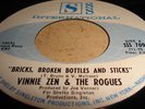VINNIE ZEN- BRICKS,BROKEN BOTTLES & STICKS- SSS  hear