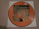 Slayer - Hell Awaits USA MB 1985 Picture LP mega rar 