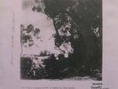 Eddy Current Suppression Ring DEMON'S Aussie RARE 7