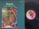 DZYAN Time Machine '73 German Bacillus Krautrock LP NM